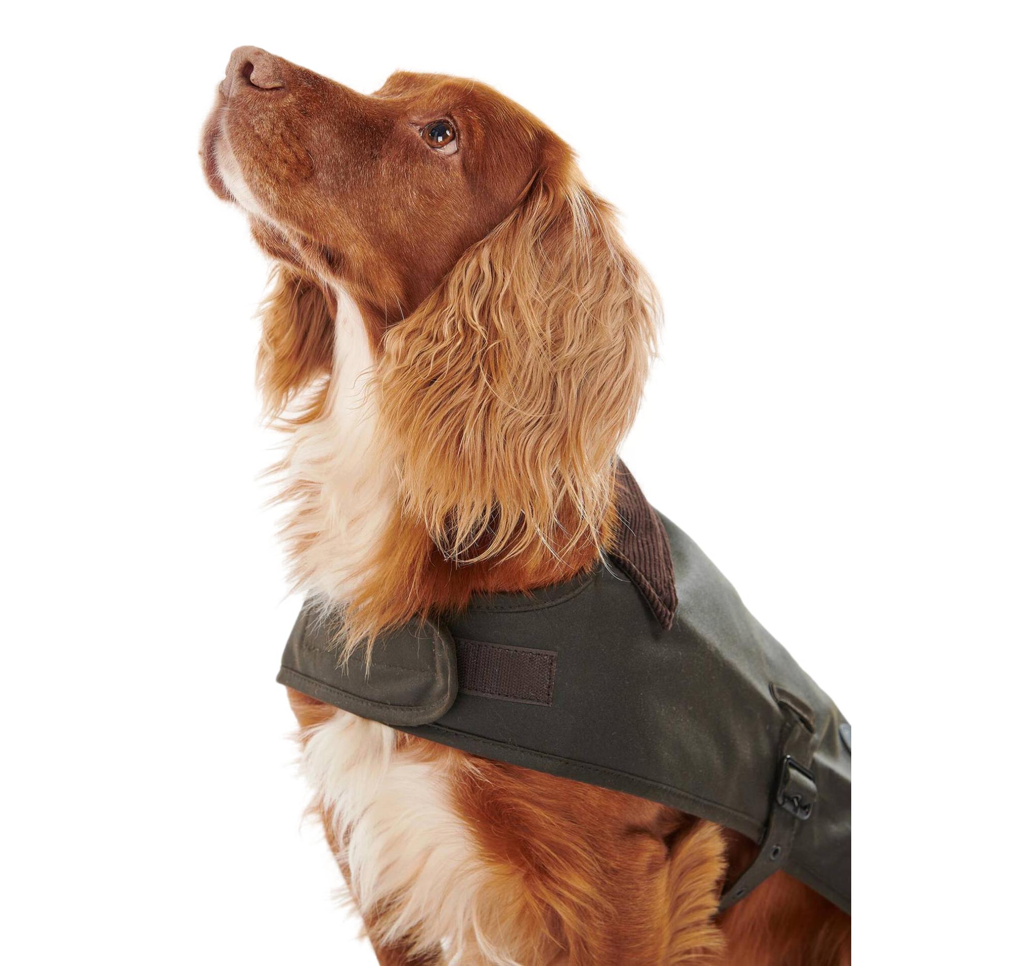 BARBOUR Cappotto Cerato Per Cani DCO0003OL71 Colore Oliva