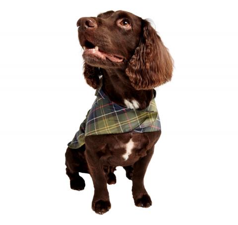 BARBOUR Cappottino per cani pieghevole DCO0059TN11 Colore Tartan