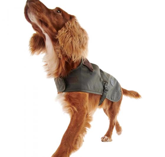 BARBOUR Cappotto Cerato Per Cani DCO0003OL71 Colore Oliva